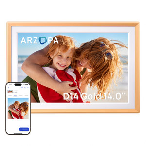 Arzopa D10 Champagne Gold | 10.1" Digital Photo Frame